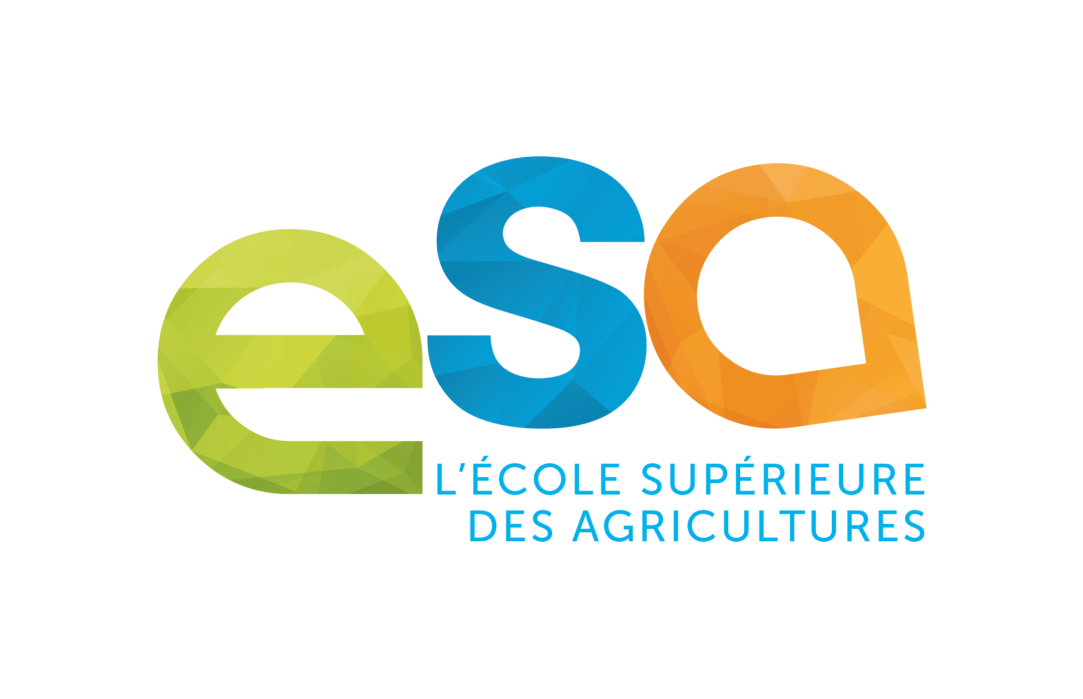 Logo dell&#39;ESA