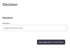 Screenshot of the decision field